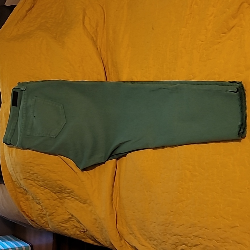 Ankle cropped jeans in beautiful turquoise color!  Size 32